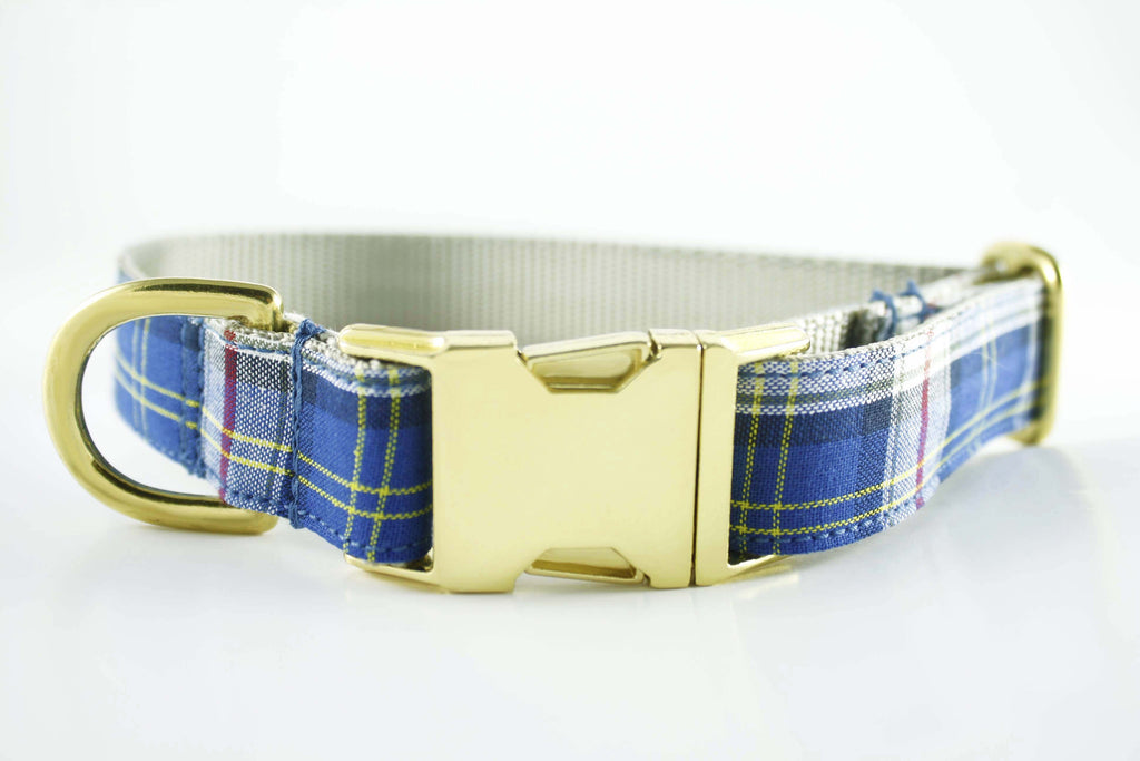 Royal Blue Plaid Collar
