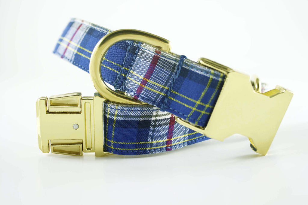 Royal Blue Plaid Collar