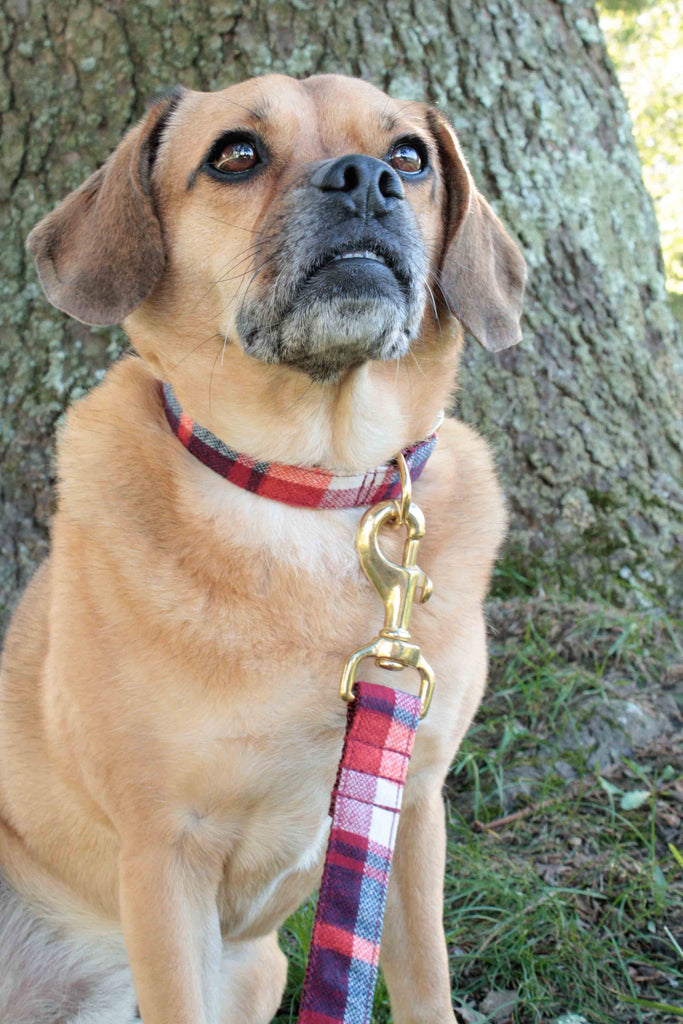 Cherry Red Plaid Leash