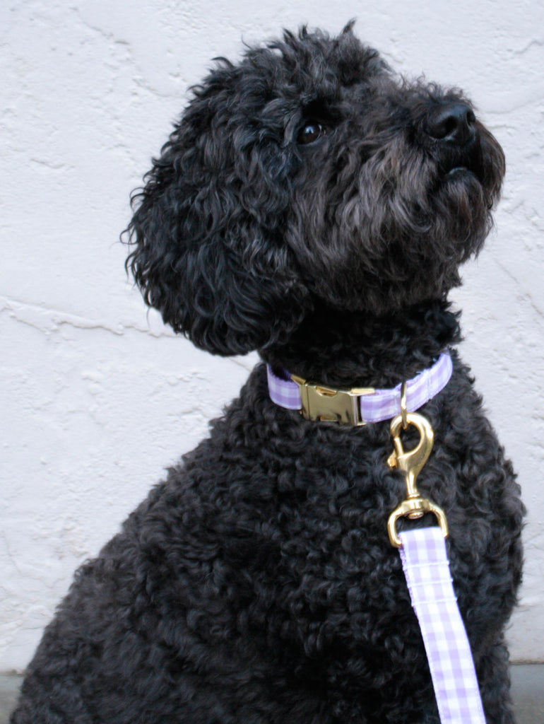 Lavender Gingham Leash - final sale