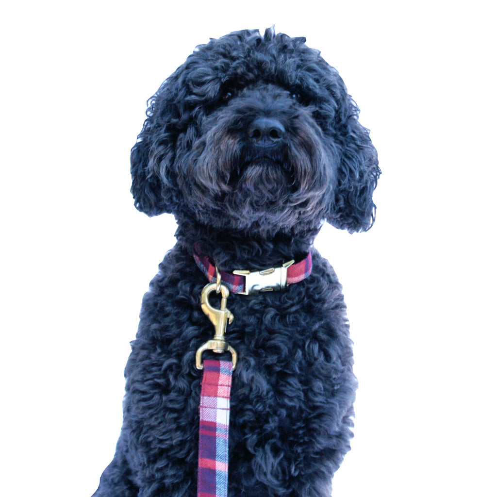 Cherry Red Plaid Leash