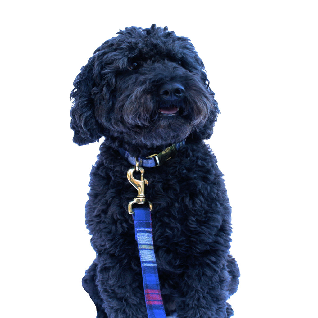 Royal Blue and Red Plaid Leash