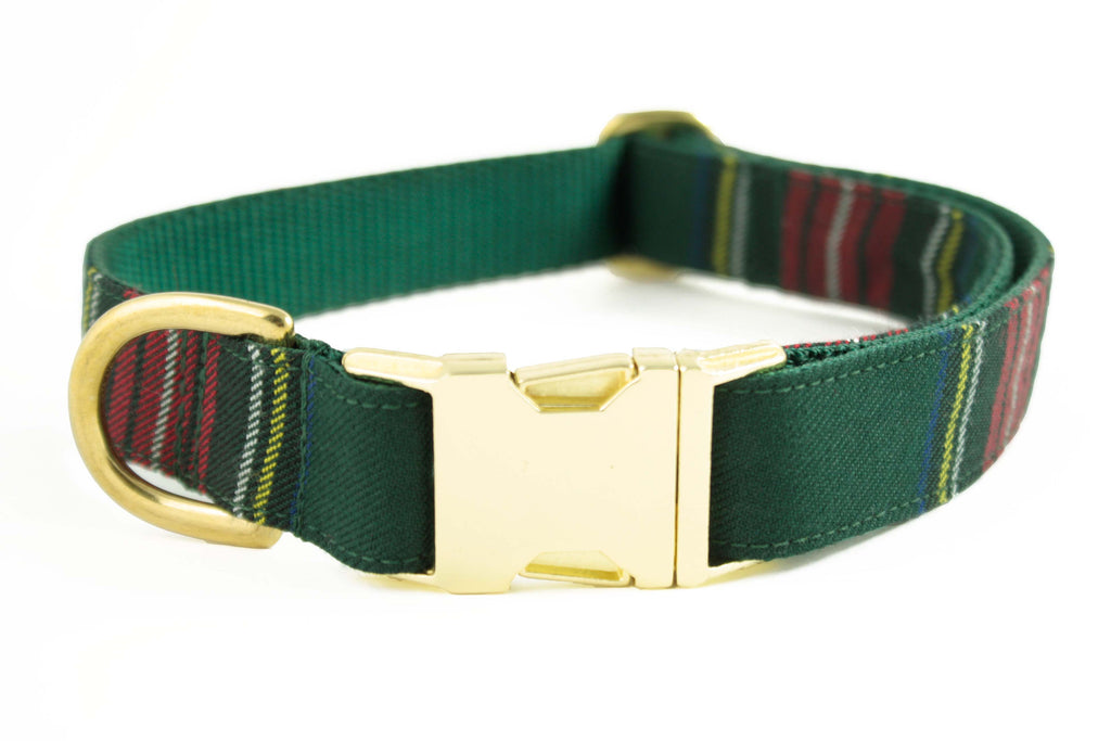 Green Tartan Plaid Collar