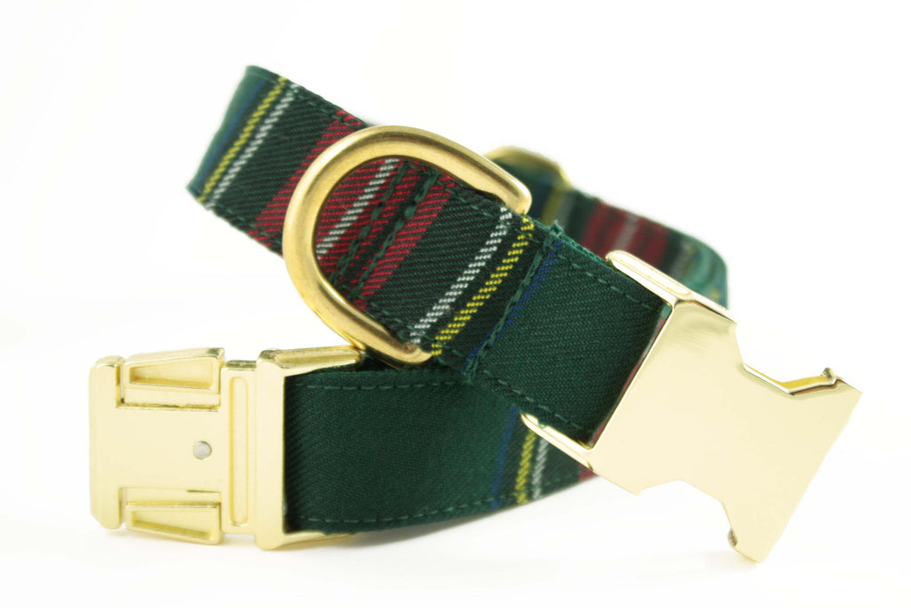 Green Tartan Plaid Collar