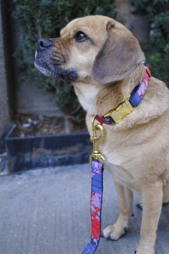 Painted Floral Collar