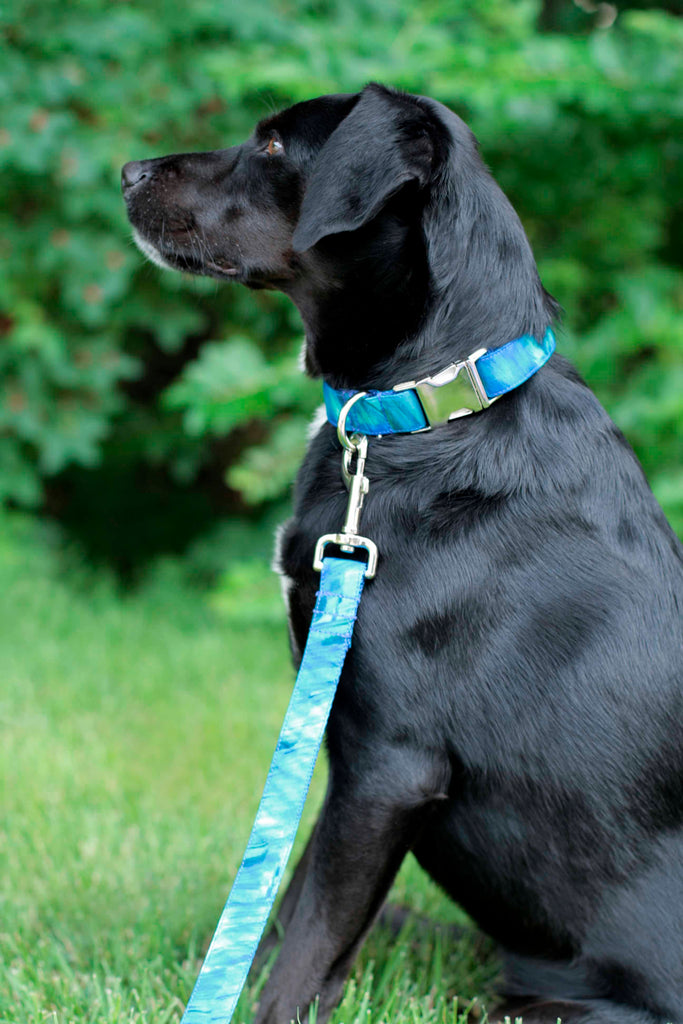 Electric Blue Canvas Leash