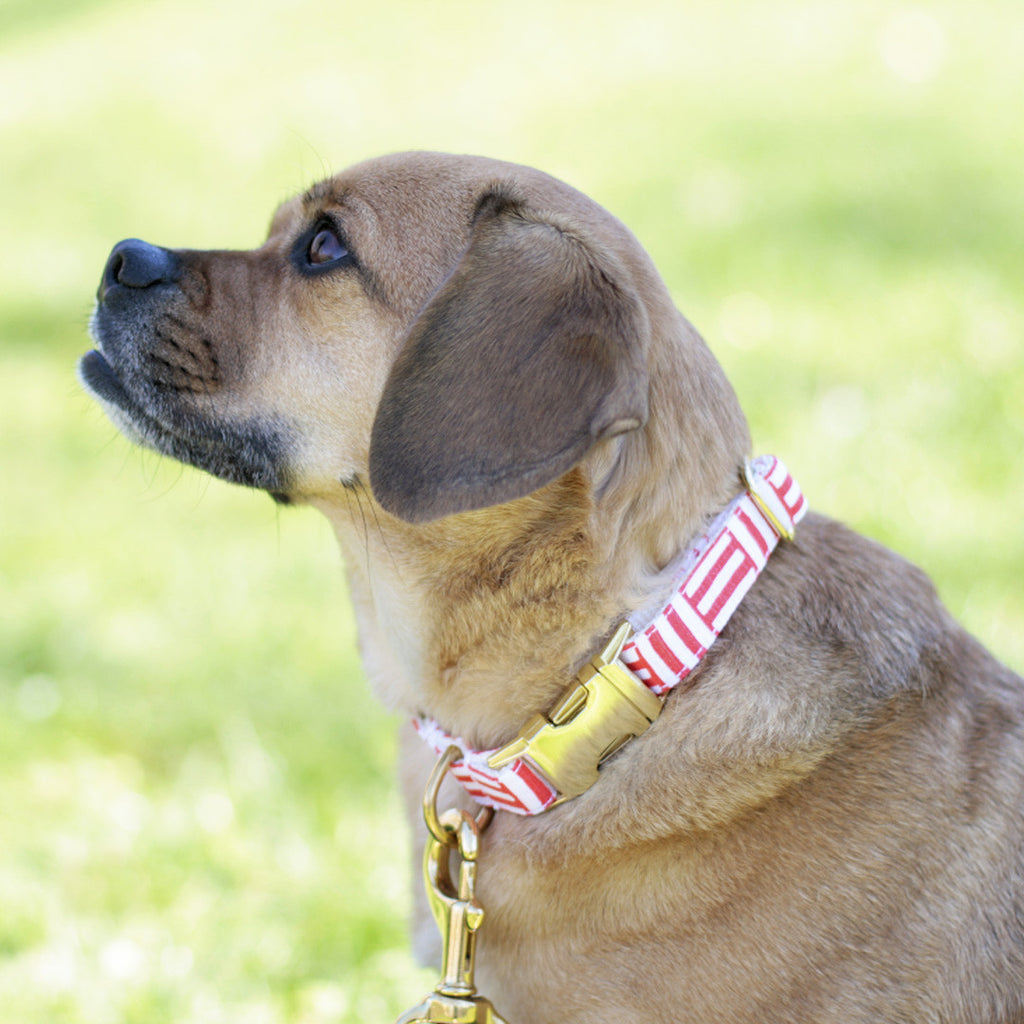 Coral Geometric Collar