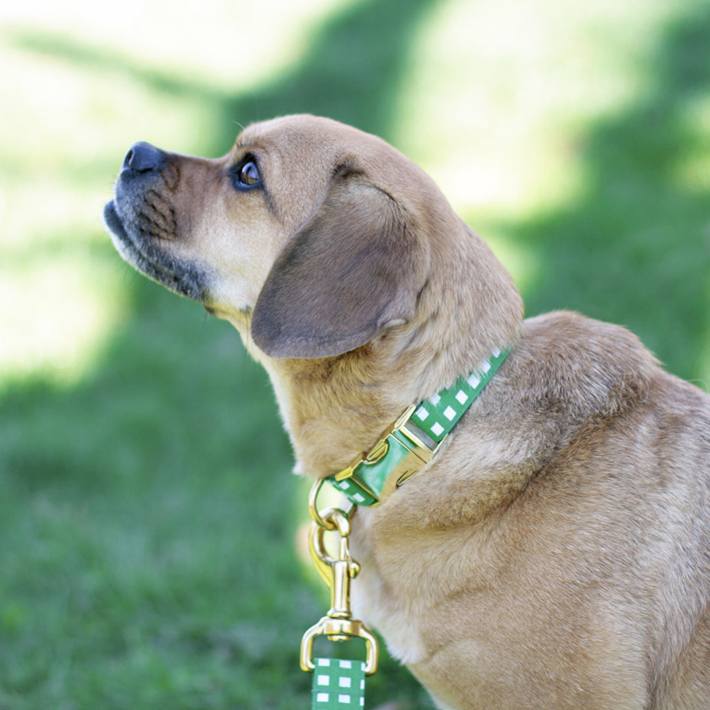 Kelly Green Geometric Collar