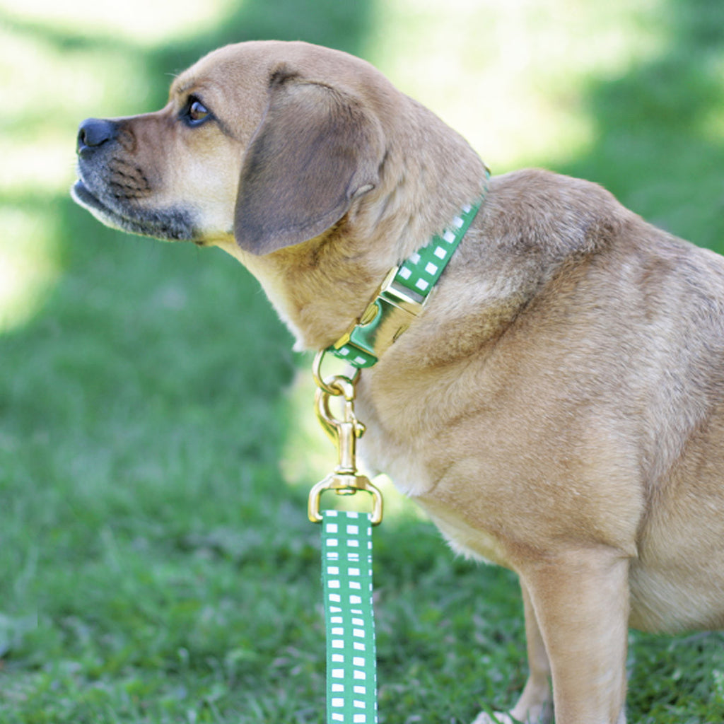 Kelly Green Geometric Leash