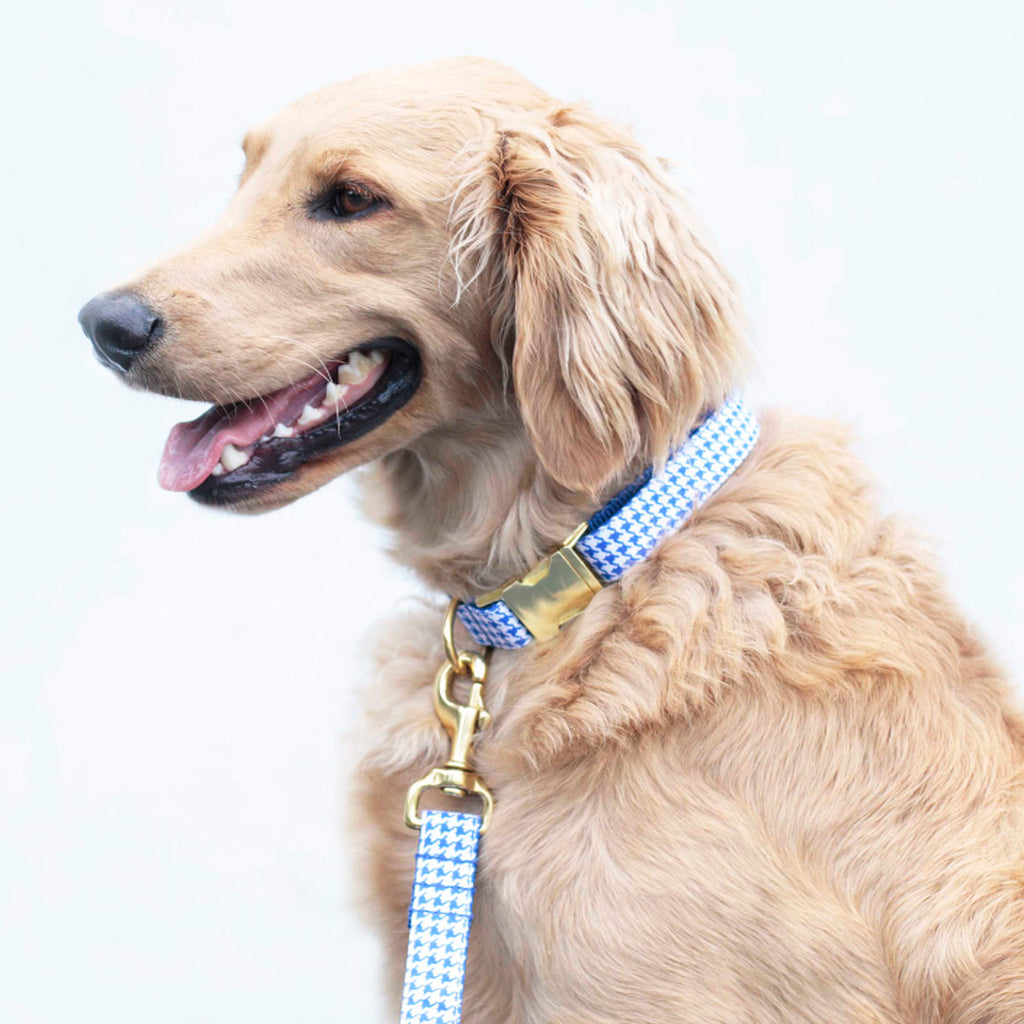 Royal Blue Houndstooth Collar