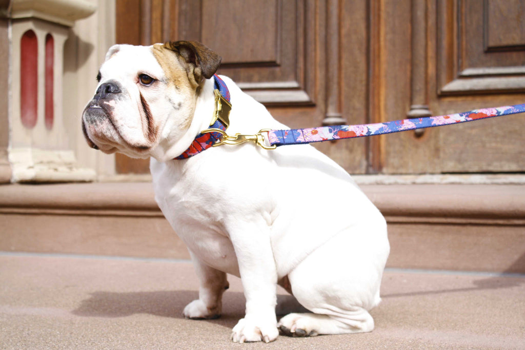 Painted Floral Collar