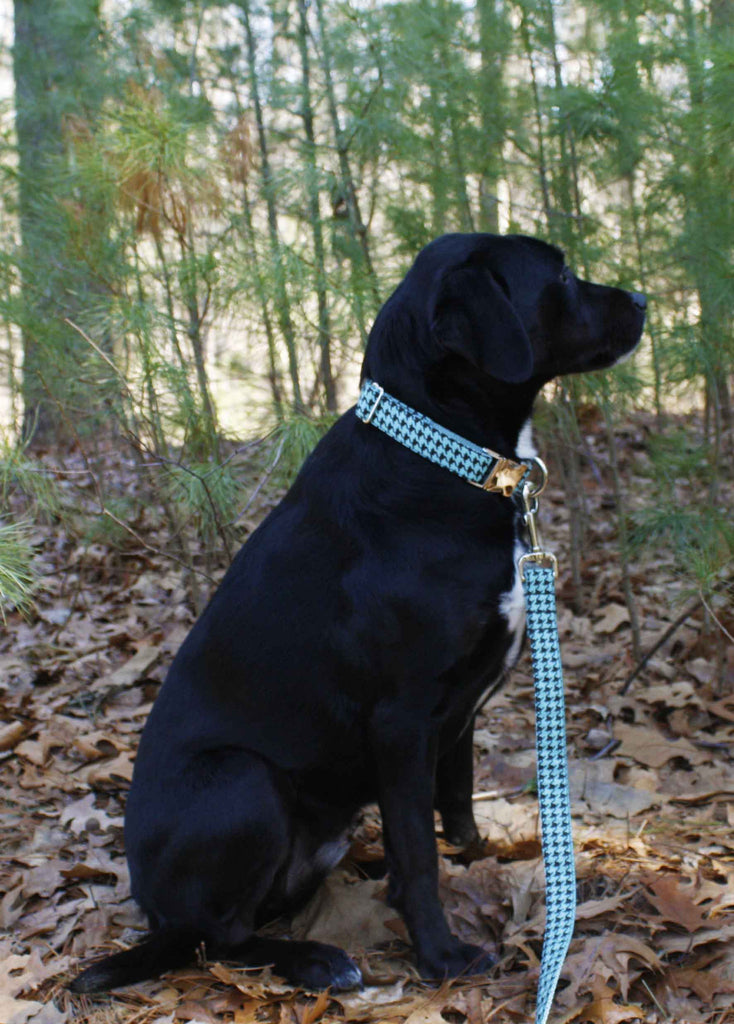 Robin Egg Blue Houndstooth Leash