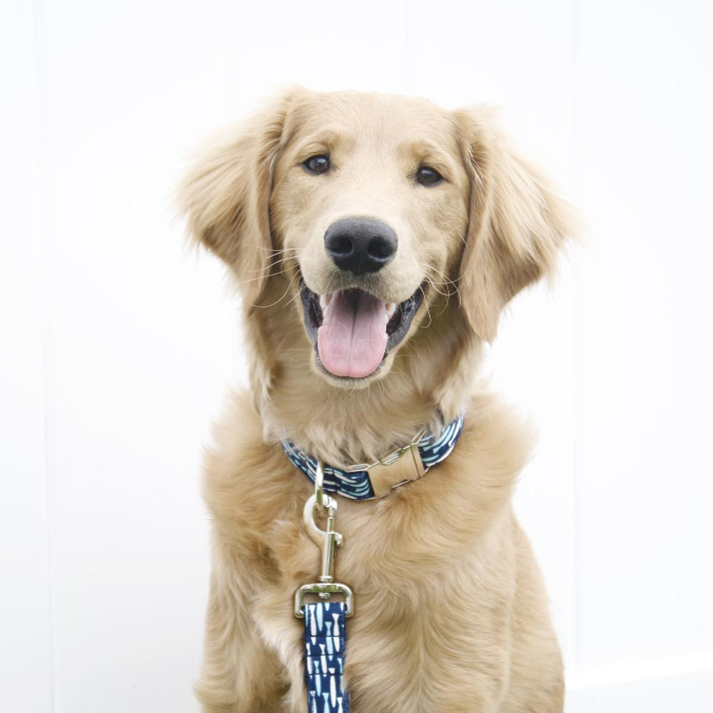 Blue Sea of Fishes Collar