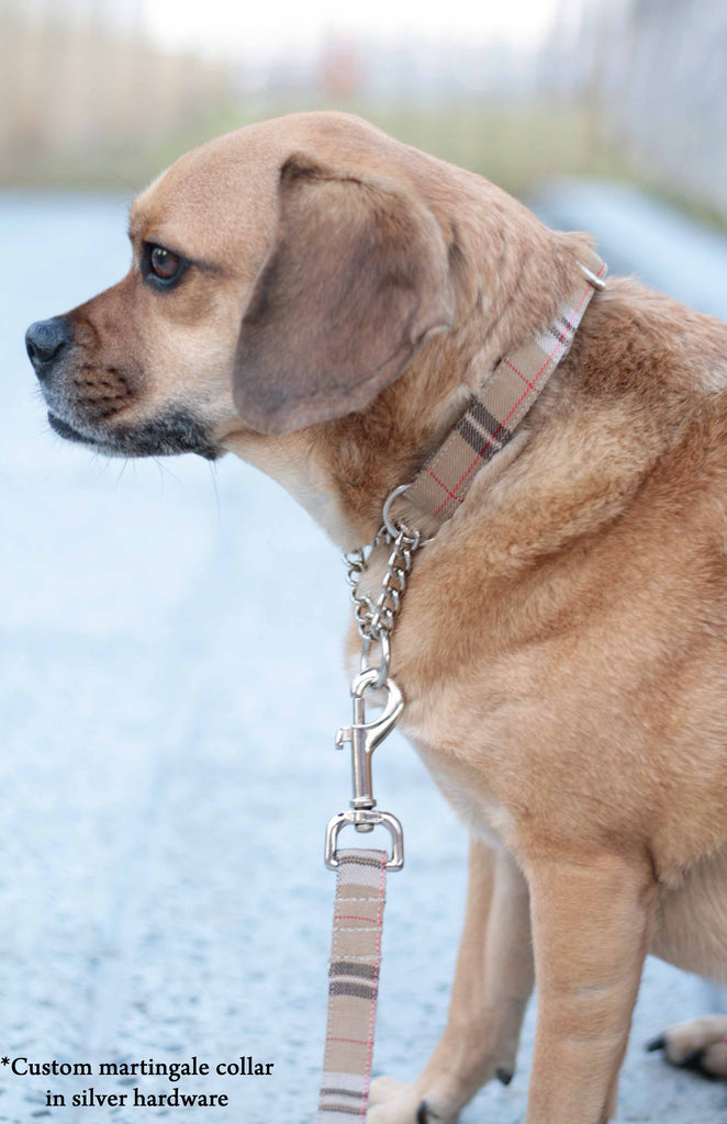 British Plaid Collar