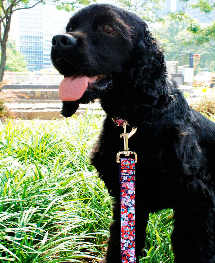 American Floral Leash