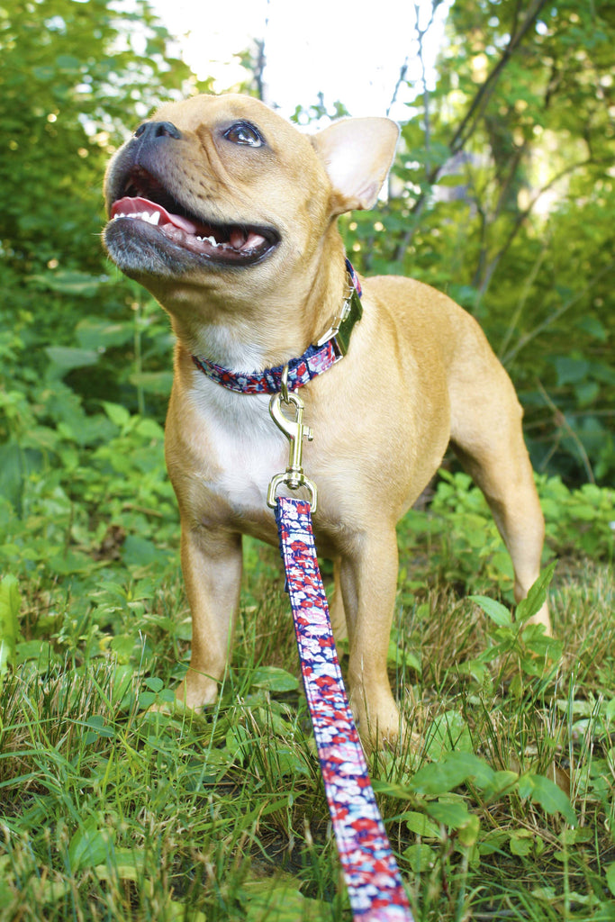 American Floral Leash