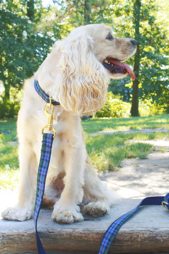 Classic Navy and Green Plaid Leash