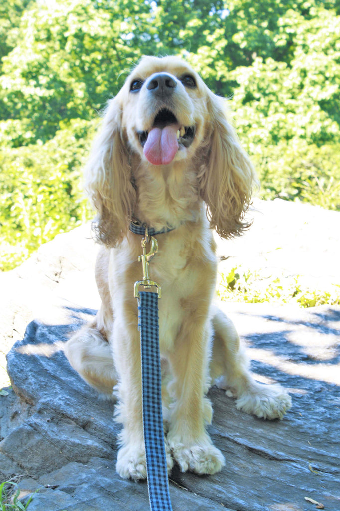 Indigo Blue Gingham Collar