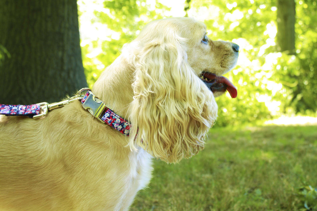 American Floral Collar