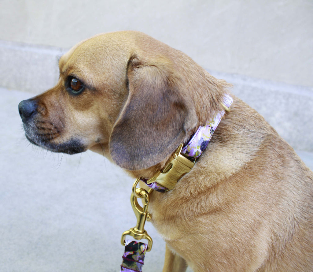 Violet Painted Floral Collar