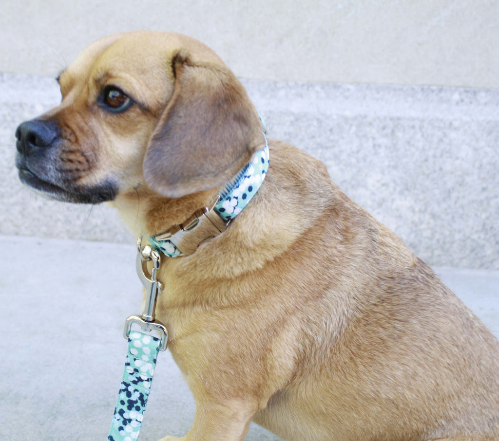 Aqua Blue Cheer Leash