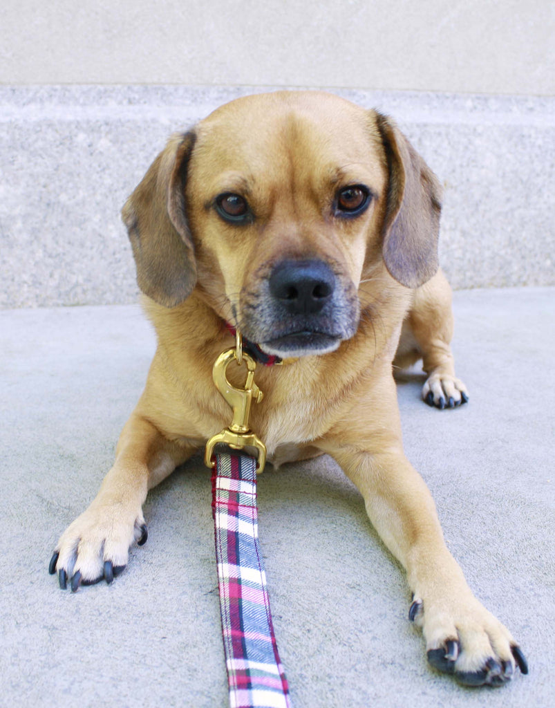 Cranberry Plaid Leash