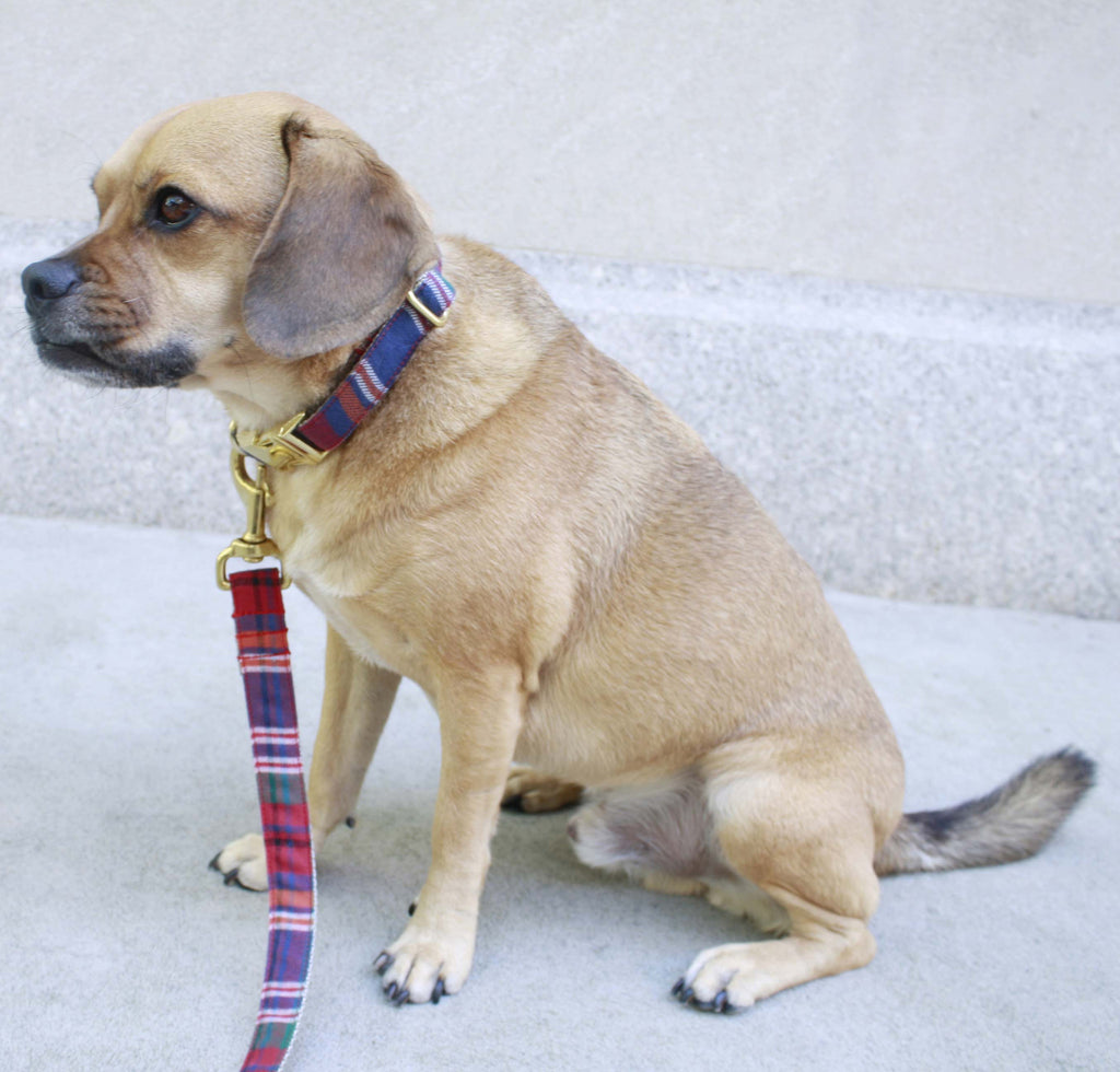Tartan Red Plaid Leash