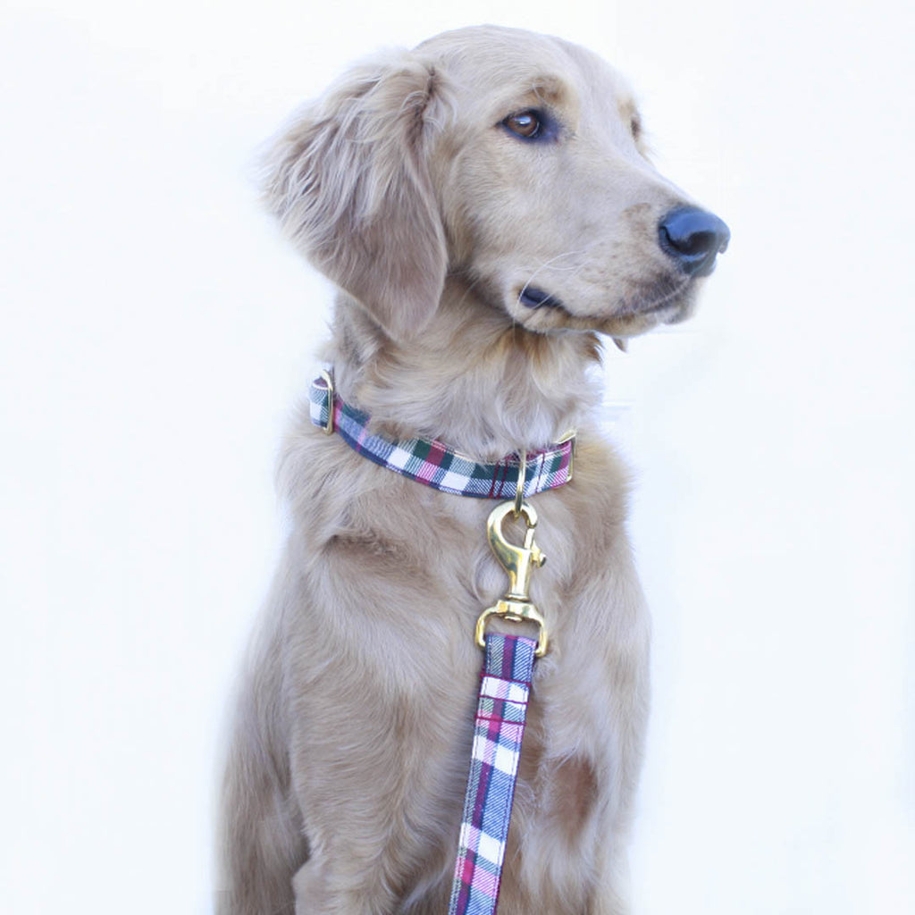 Cranberry Plaid Leash