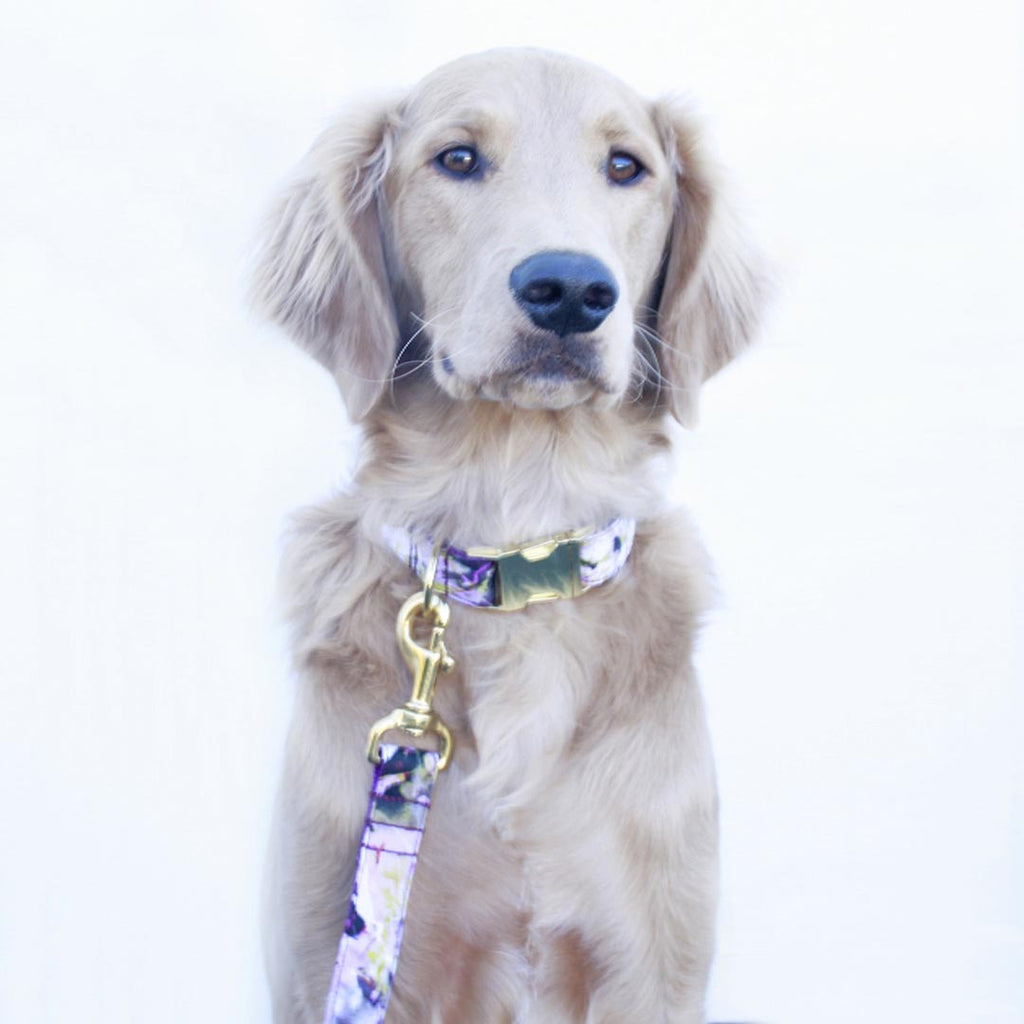Violet Painted Floral Leash