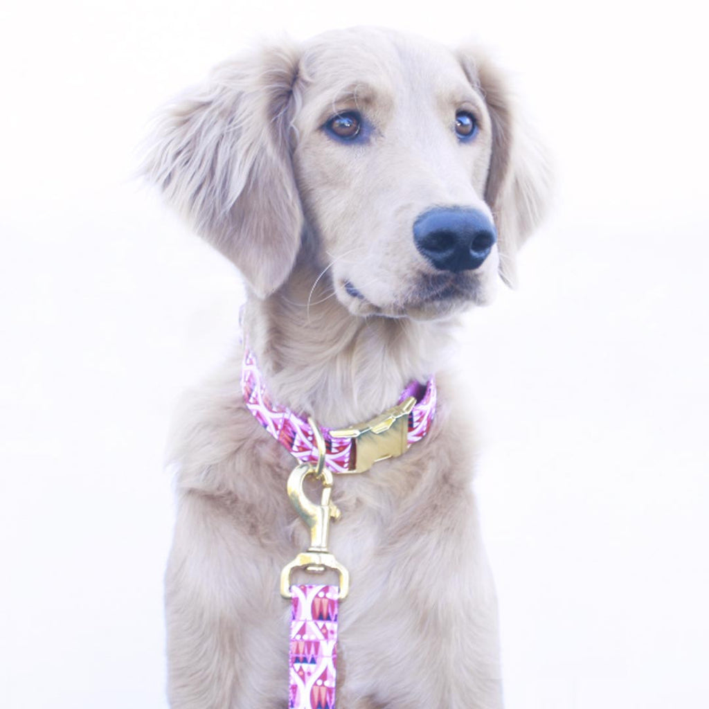 Jolly Pink Collar