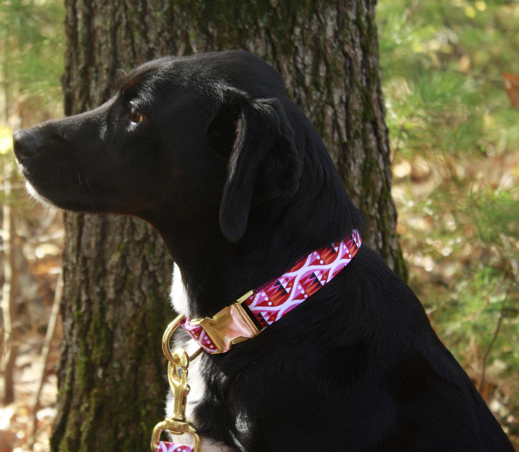 Jolly Pink Collar