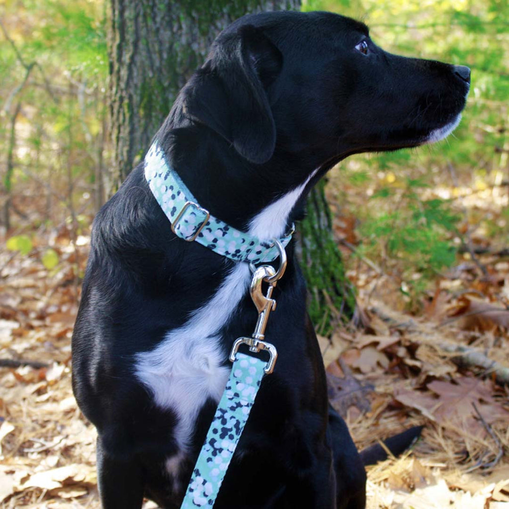 Aqua Blue Cheer Leash