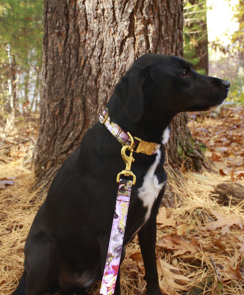 Violet Painted Floral Leash