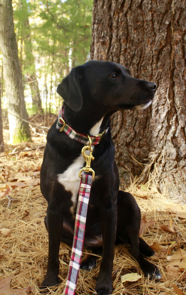Cranberry Plaid Leash