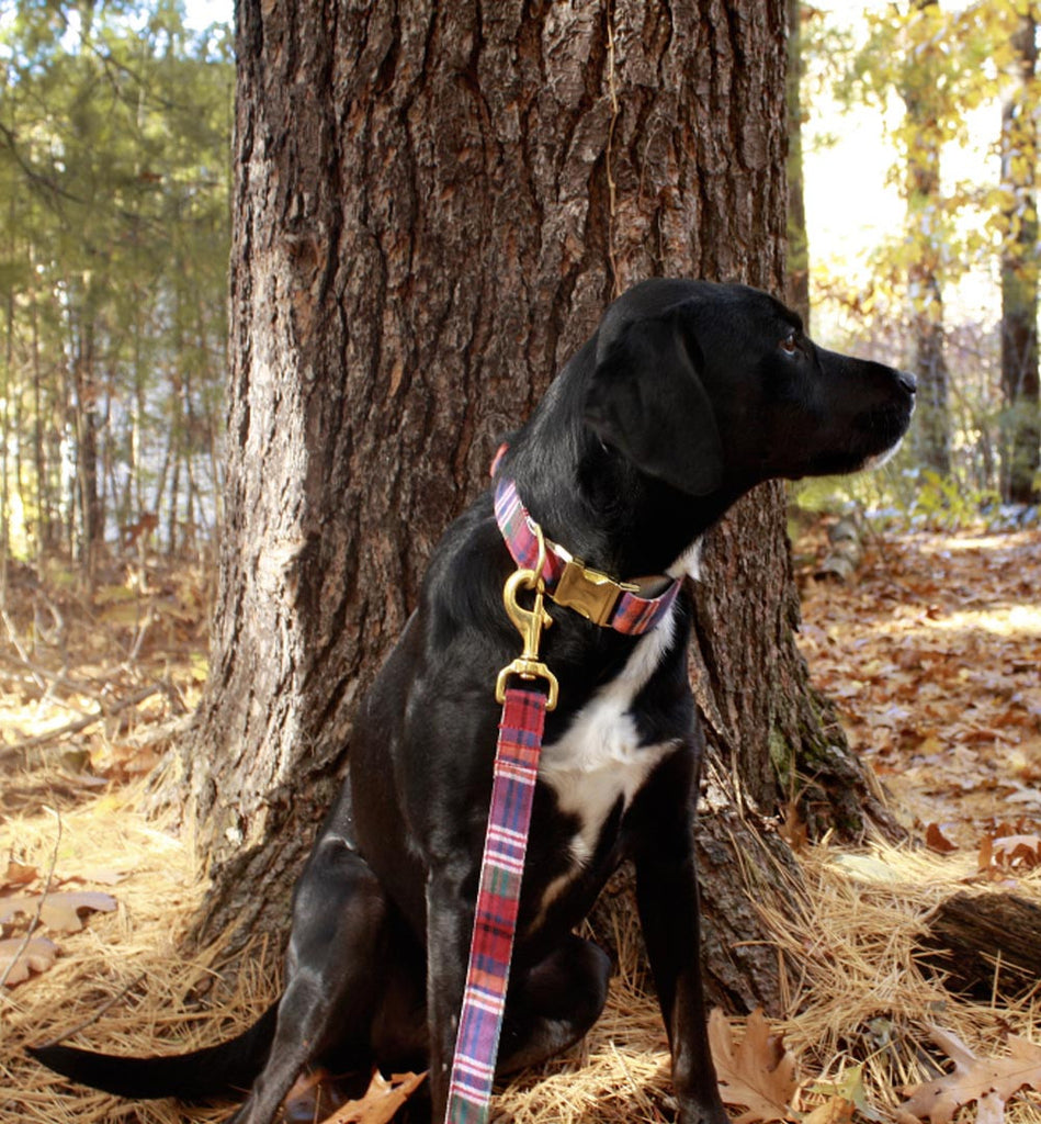 Tartan Red Plaid Leash