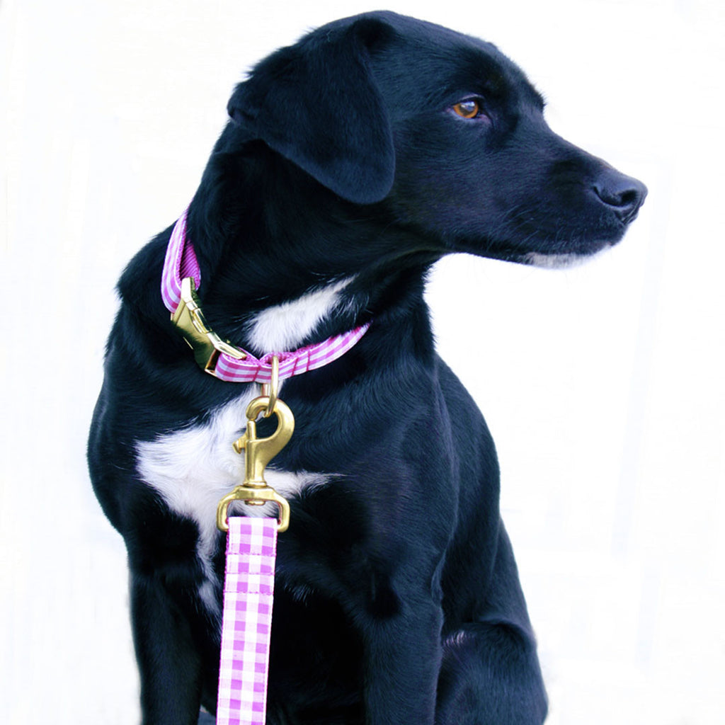 Pink Gingham Collar