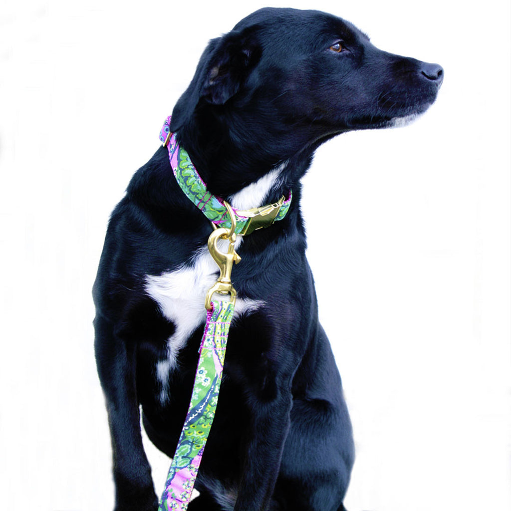 Pink and Green Paisley Leash