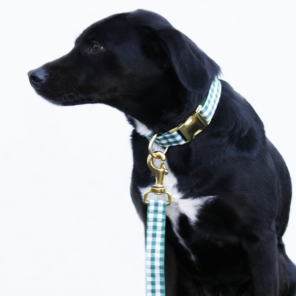 Green Gingham Collar