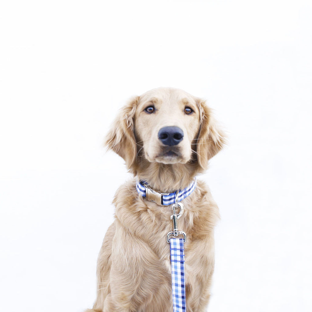 Royal Blue and Navy Gingham Leash
