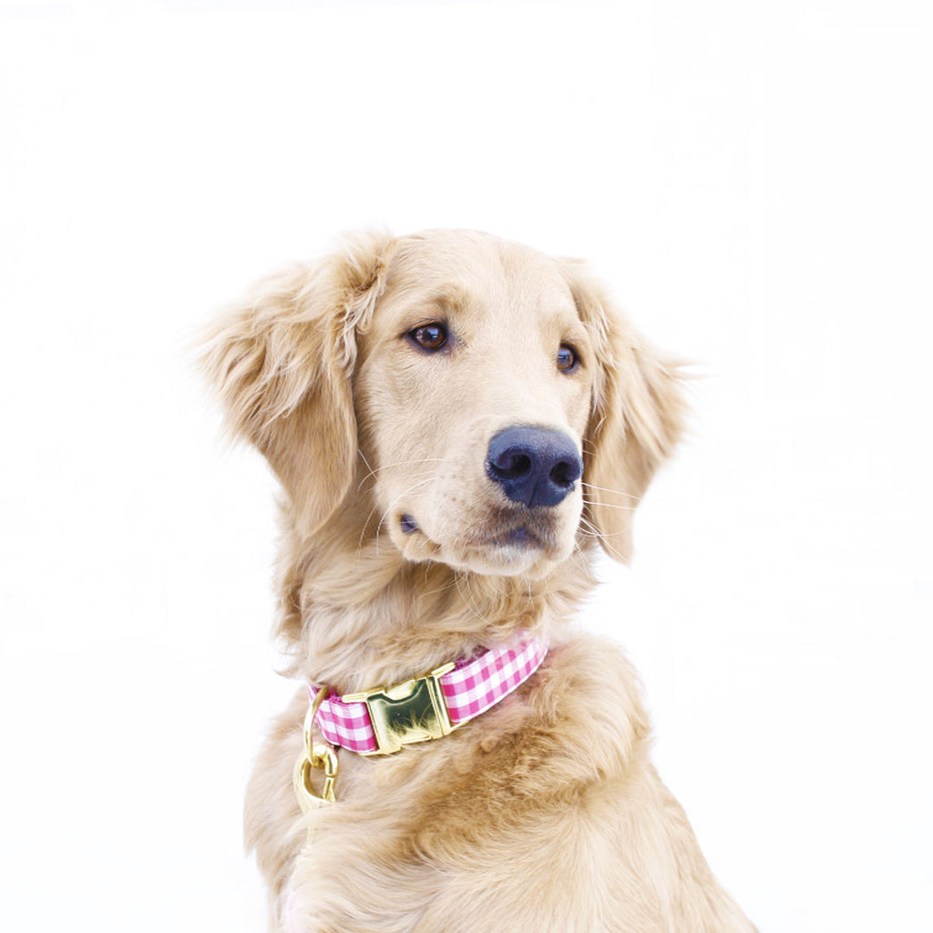 Pink Gingham Collar