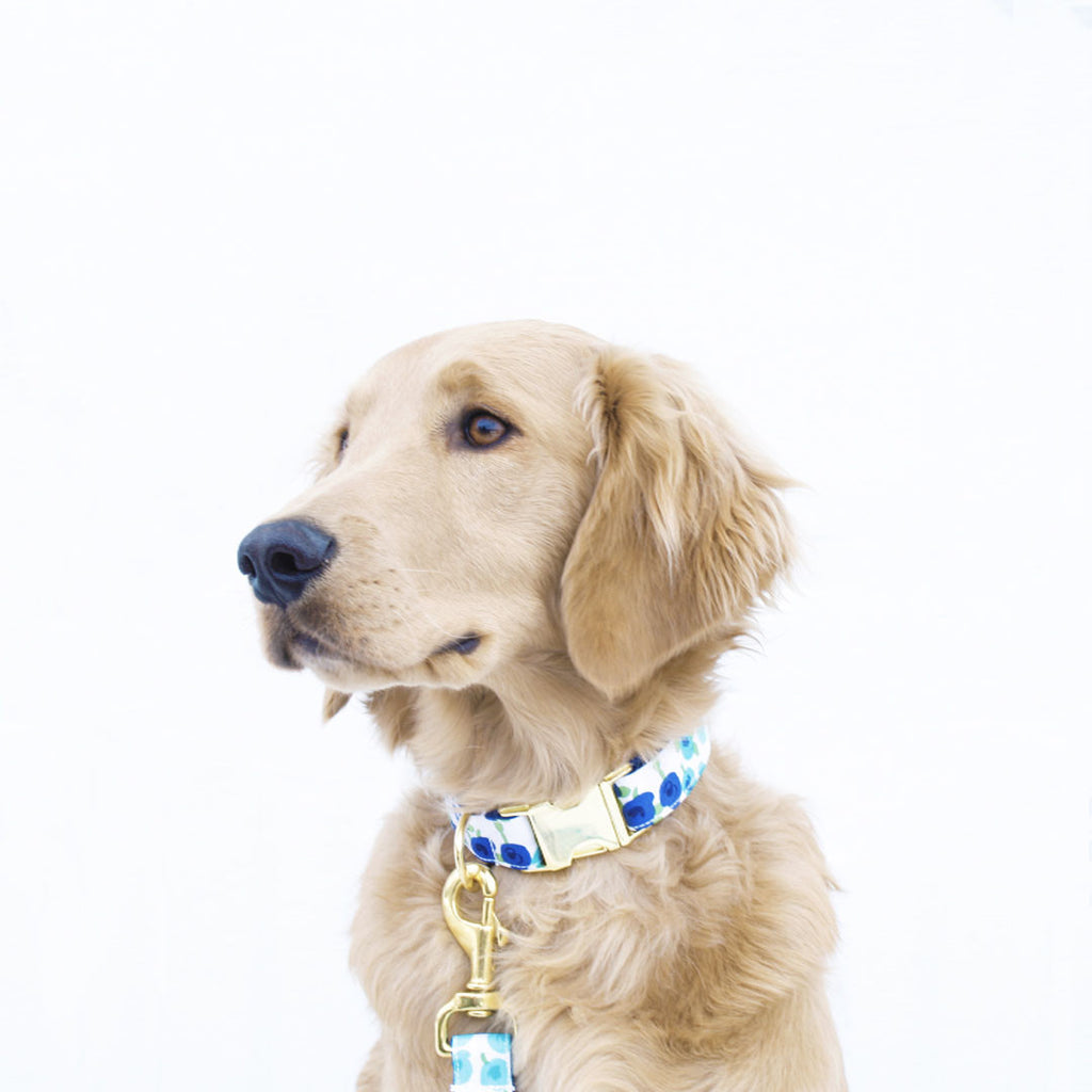 Blueberry Flowers Collar