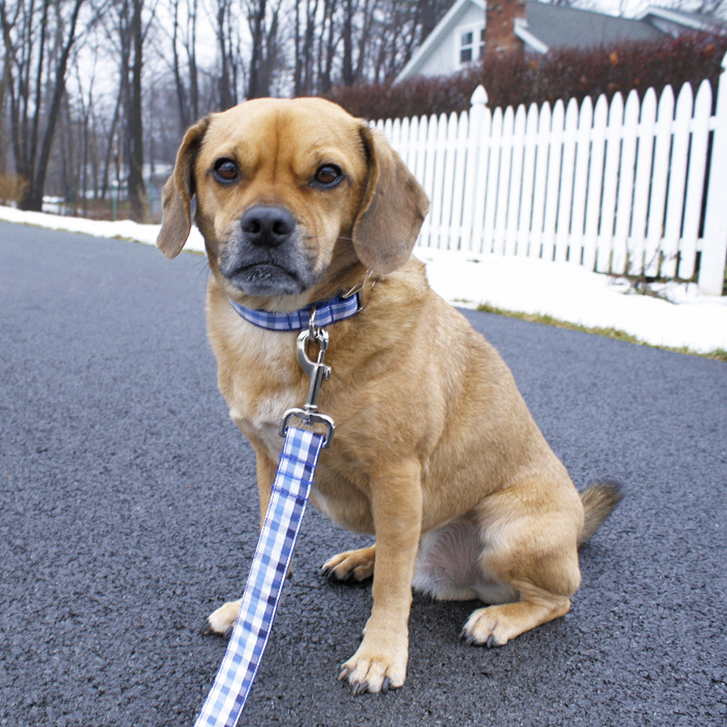 Royal Blue and Navy Gingham Leash