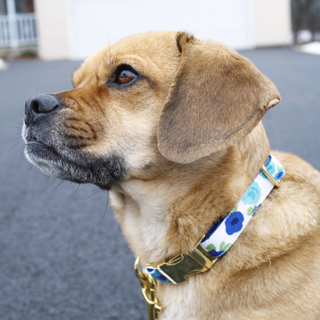 Blueberry Flowers Collar
