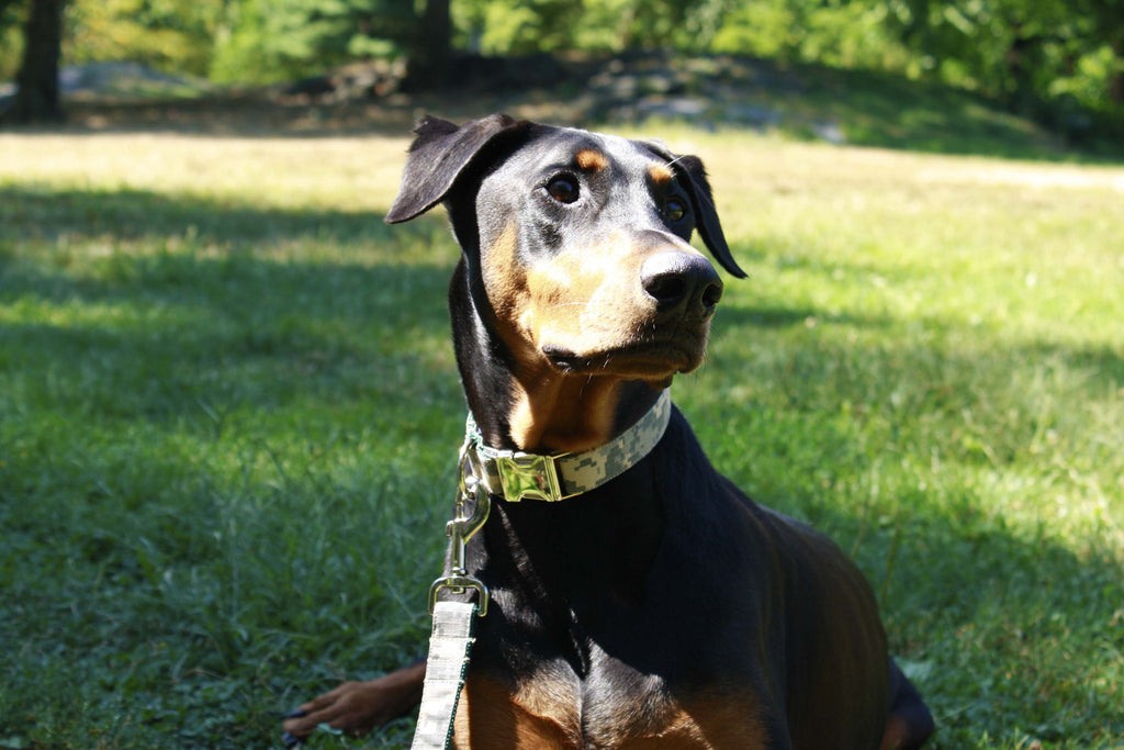 Army Camouflage Collar
