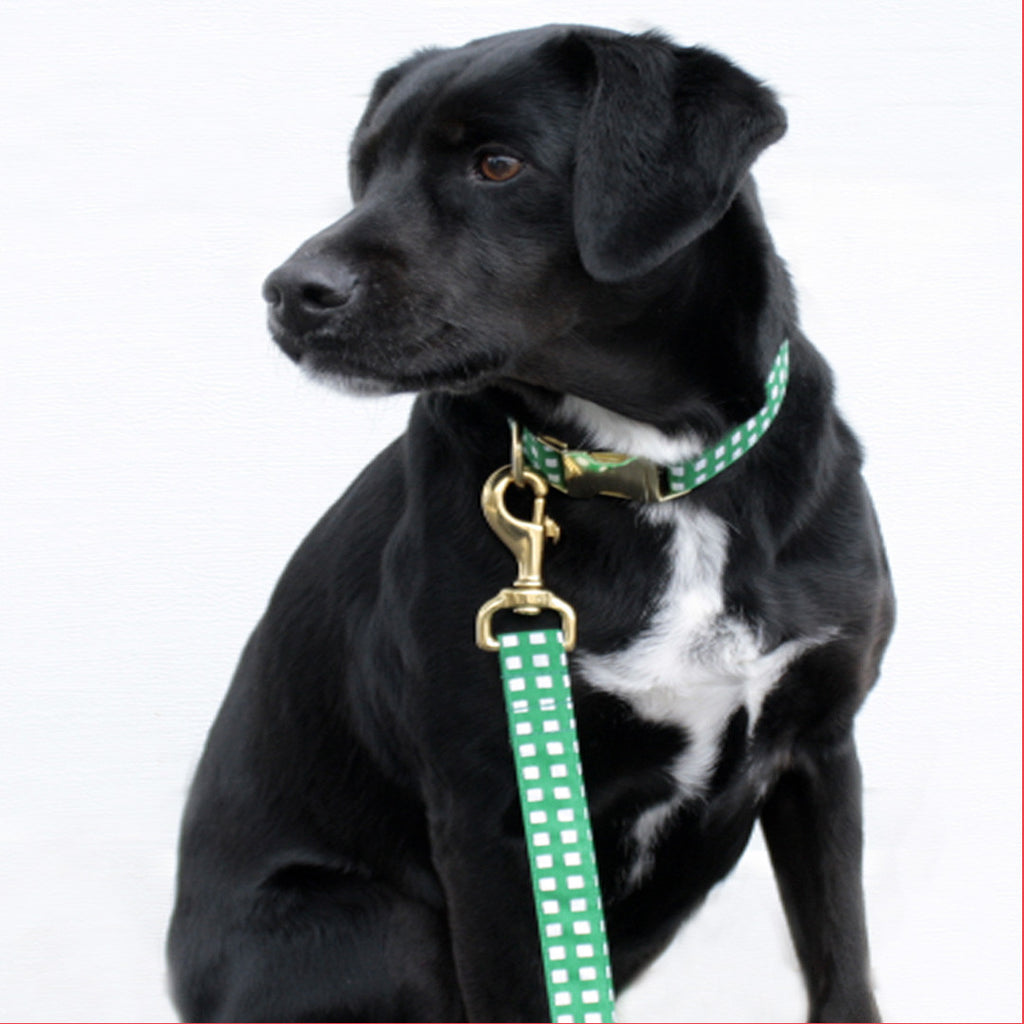 Kelly Green Geometric Leash