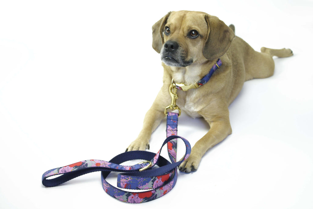 Painted Floral Collar