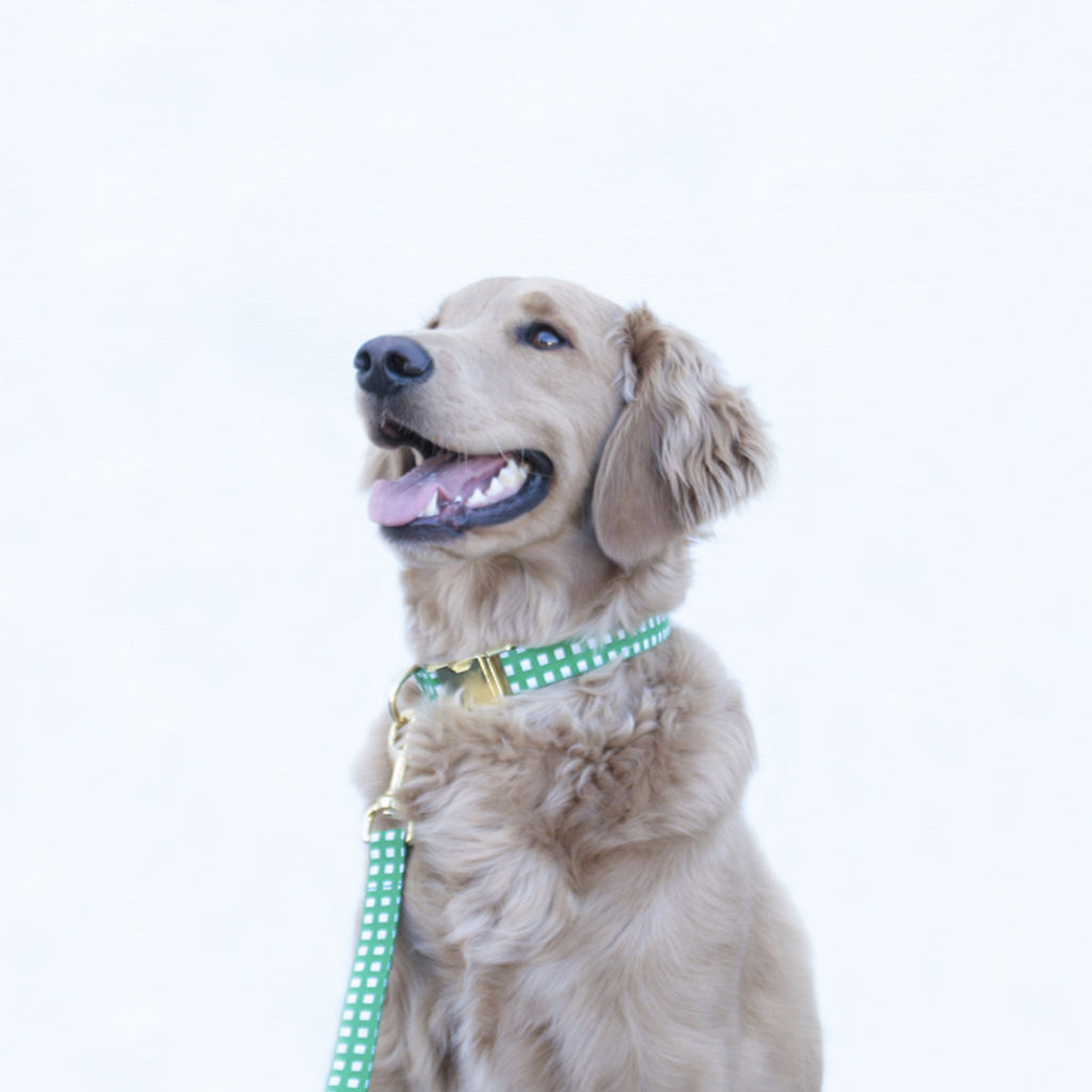 Kelly Green Geometric Collar