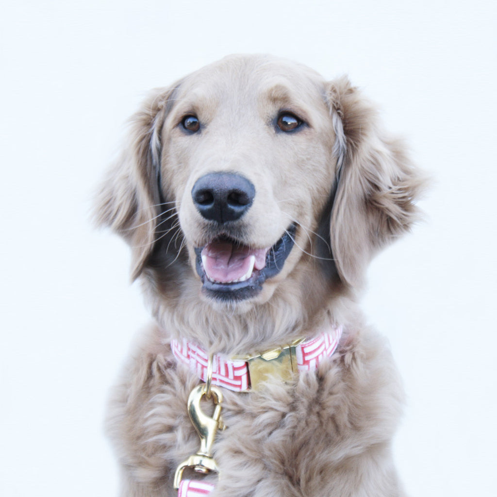 Coral Geometric Collar