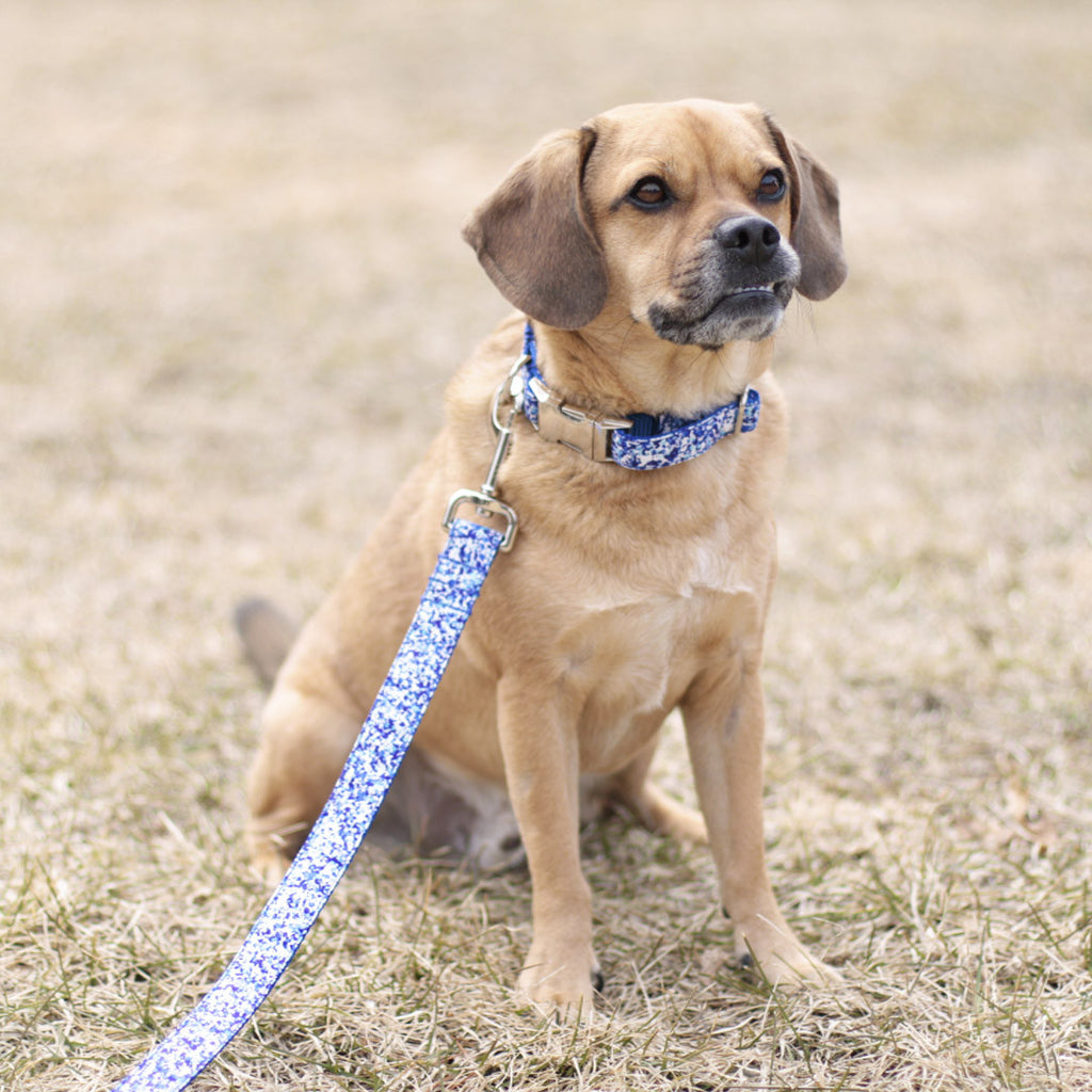 Royal Blue Ocean Leash