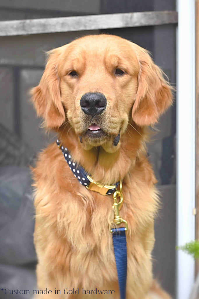 Navy Polka Dot Collar